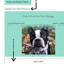Load image into Gallery viewer, FROM THE DOGHOUSE custom pet portrait