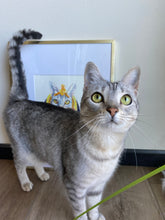 Load image into Gallery viewer, Cleo-PAW-tra